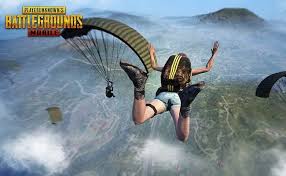 PUBG banned
