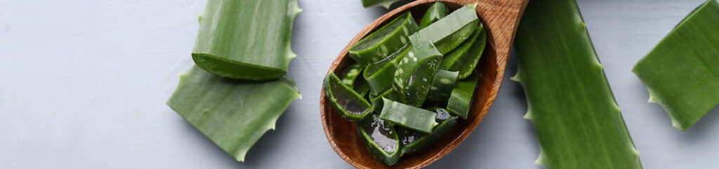 Aloevera - Health and its significance 