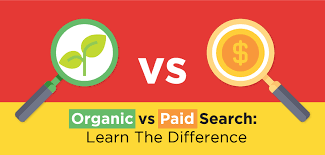 Paid and Organic Search