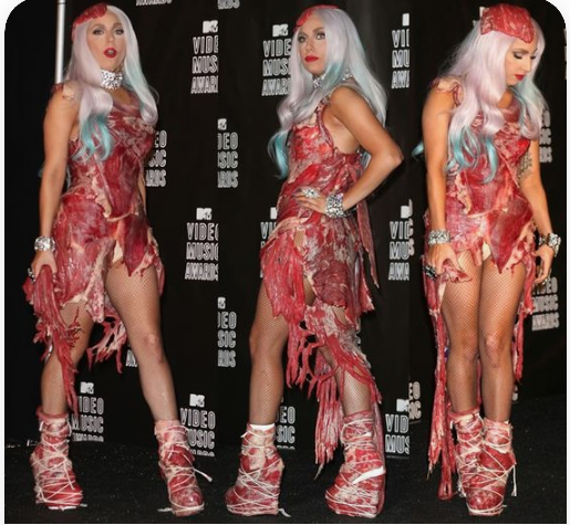 Lady Gaga Meat Dress